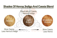 Organic Roots Natural Hair Color Kit | Trio Kit | For Blonde -Light Brown