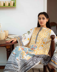 Qariney Stitched 2 Piece Silk Collection-Viana