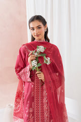 Aqs N Man Stitched 3 Piece Summer Collection'2025-Gul e Shabnam-AM-022