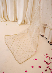 Chamak Dhamak By Pashma Khan Eid Collection'2025-Chambeli