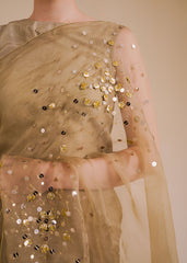 Chamak Dhamak By Pashma Khan Eid Collection'2025-Zurah