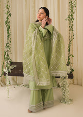 Chamak Dhamak By Pashma Khan Eid Collection'2025-Sohai