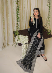 Chamak Dhamak By Pashma Khan Eid Collection'2025-Chandni