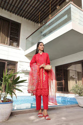 Dressline 3 Piece Fancy Emb Chikankari Net Collection