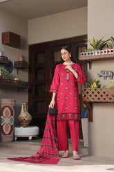 Dressline 3 Piece Fancy Emb Chikankari Net Collection