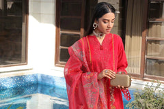 Dressline 3 Piece Fancy Emb Chikankari Net Collection