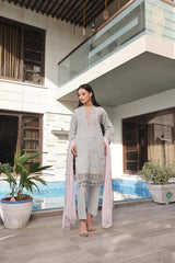 Dressline 3 Piece Fancy Emb Chikankari Net Collection