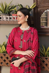 Dressline 3 Piece Fancy Emb Chikankari Net Collection