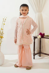 Shop the Chiffon Embroidered 3 Pc Suit, a stylish kids party wear dress perfect for weddings