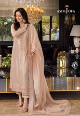 Asim Jofa Rang e Noor Ajrn-07 Embroidered Net 3 Pcs