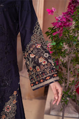 Raya By Imrozia Serene Stitched 3 Piece Winter Suit-IP-112 Nisha