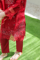 Organza Shirt with Embroidery and Adda Hand work, Inner Cotton silk, Organza Dupatta with Gota lace, Cotton Silk Trouser