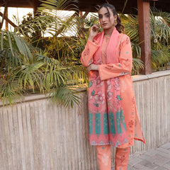 Heeriye 3 Piece Stitched Printed Lawn Suit - H303