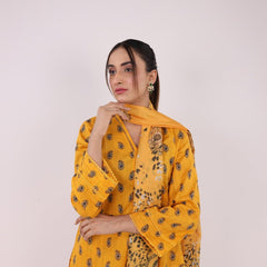 Heeriye 3 Piece Stitched Printed Lawn Suit - H310