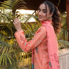 Heeriye 3 Piece Stitched Printed Lawn Suit - H303