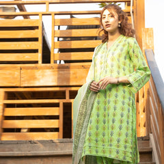 Heeriye 3 Piece Stitched Printed Lawn Suit - H309