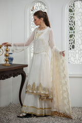 Baad E Saba 2 By Yusra Ansari Stitched 3 Piece Luxury Formals Collection'2025-Yaw-14 aylin