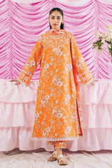 Rinesa by Ayzel Unstitched 3 Piece Lawn Vol-03 Suit-AZL-02-Eli
