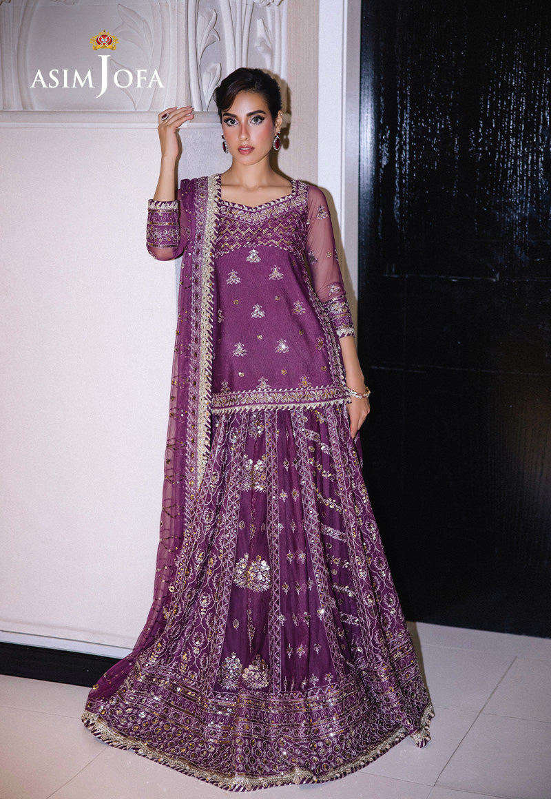 Asim Jofa Festive 25 Ajff-01 Embroidered Net 3 Pcs