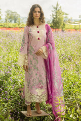 The Secret Garden Hemline By Mushq Unstitched 3 Piece Summer Suit-01-A-Lavendar Whispers
