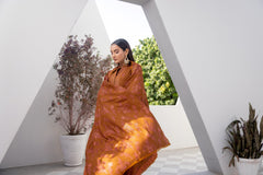 threadsweaves x shomi