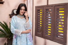 Dressline L Umer Textile New Stitched Fancy Emb Chikankari Lawn Fancy Printed Dupatta Collection