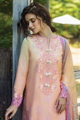 Solace OmbrÃƒÆ’Ã‚Â© By Mushq Unstitched 3 Piece Emb Chikankari Suit-02-Risate