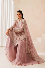 Neorah By Xenia Unstitched 3 Piece Luxury Formals Collection'2025-02-Anira