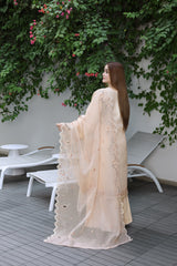 Mintara By Dressline Semi Stitched 3 Piece Aiyudia Formals Collection'2025-mintara-semi-stitched-champagne-veil