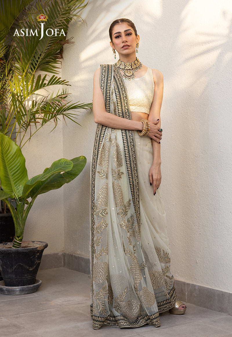Asim Jofa Mera Haseen Jora - RTW Ajjh-09 Embroidered Poly Net 3 Pcs