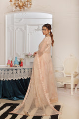 Dressline Launching New Semi Stitched 3 Pc Luxury Emb Organza Maxi Collection 2025