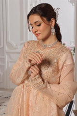 Dressline Launching New Semi Stitched 3 Pc Luxury Emb Organza Maxi Collection 2025