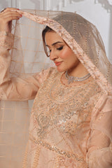 Dressline Launching New Semi Stitched 3 Pc Luxury Emb Organza Maxi Collection 2025