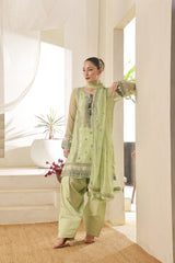 Tasbeena By Dressline Semi Stitched 3 Piece Luxury Chiffon Formals Collection'2025-Dressline > 63