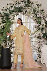 Dressline New Semi Stitched 3 Pcs Premium Dyed Lawn Fancy Full Chikankari With Sequence Emb Collection