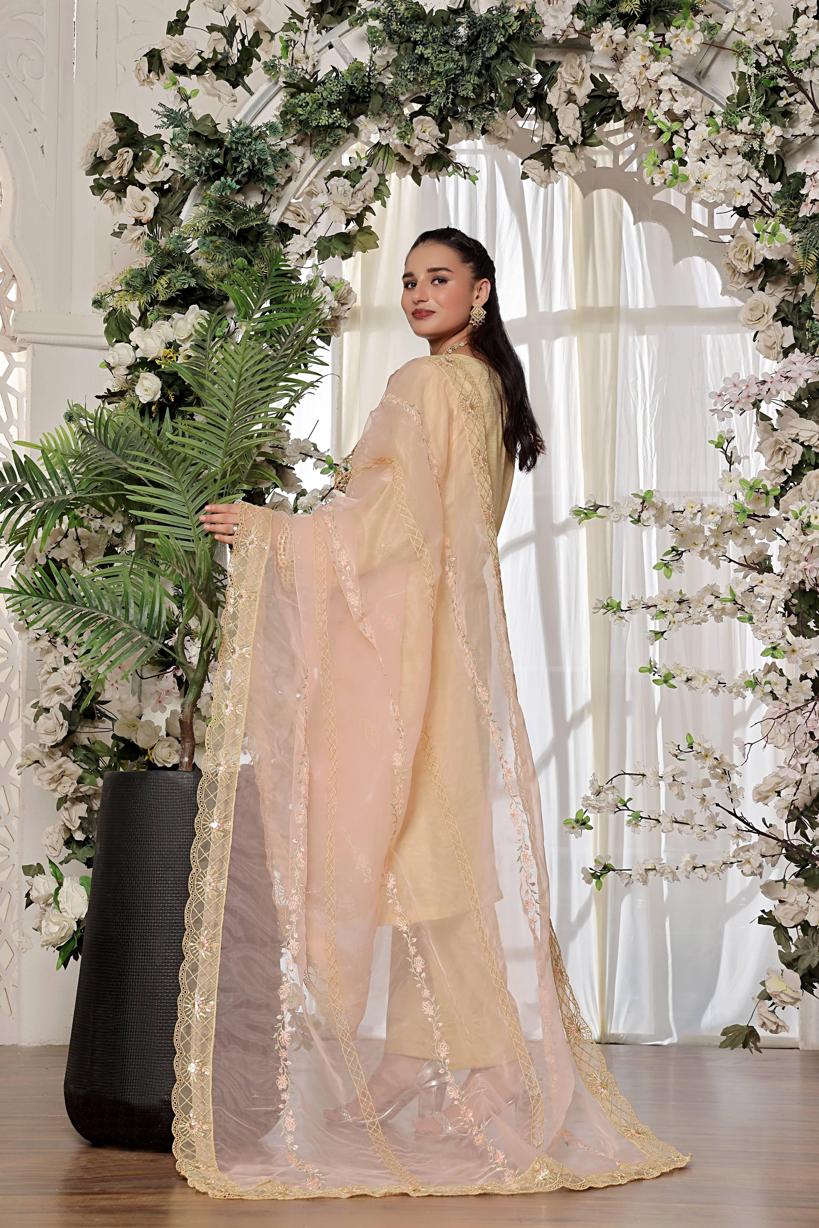 Dressline New Semi Stitched 3 Pcs Premium Dyed Lawn Fancy Full Chikankari With Sequence Emb Collection