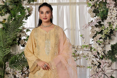 Dressline New Semi Stitched 3 Pcs Premium Dyed Lawn Fancy Full Chikankari With Sequence Emb Collection