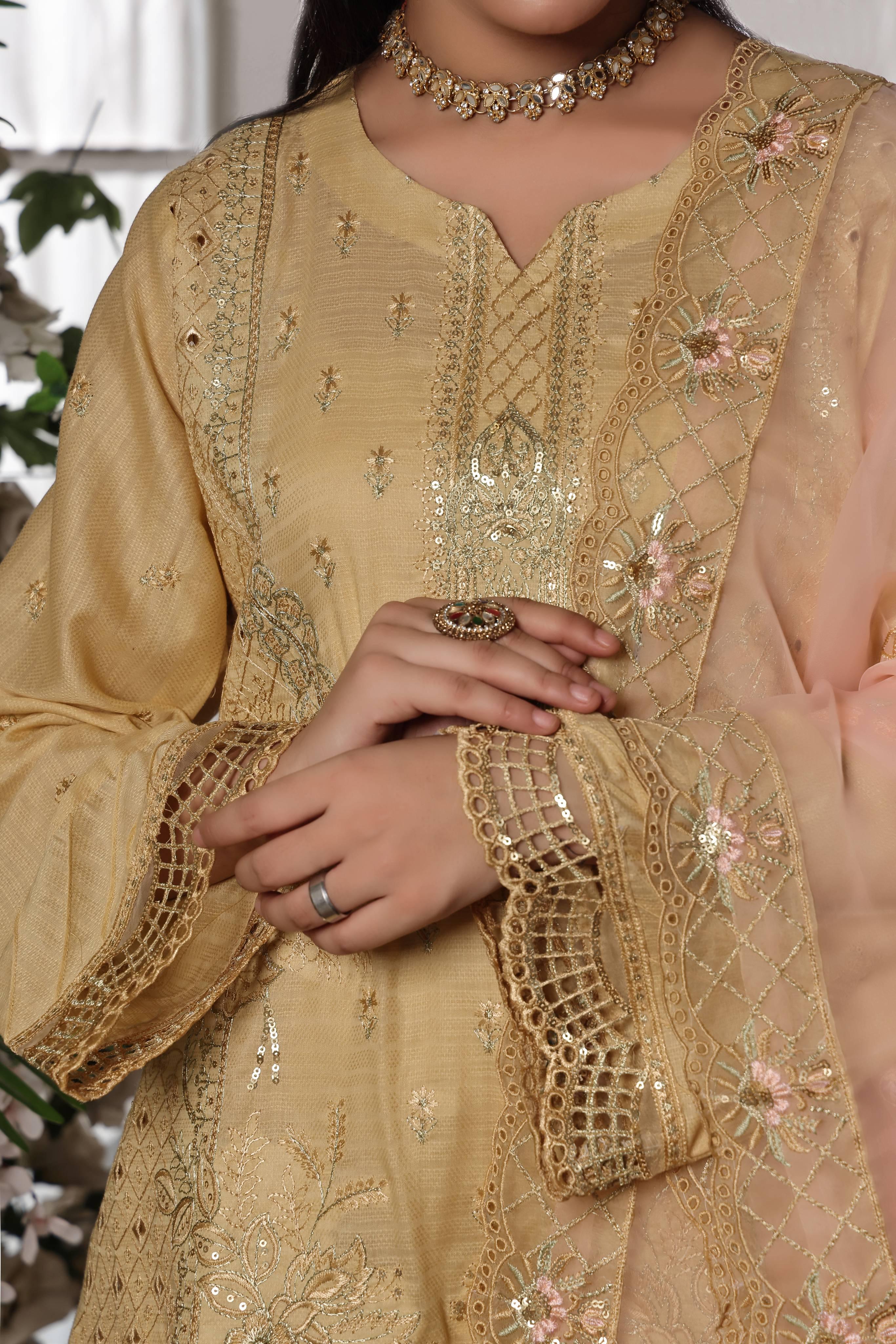 Dressline New Semi Stitched 3 Pcs Premium Dyed Lawn Fancy Full Chikankari With Sequence Emb Collection