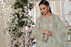 Dressline New Semi Stitched 3 Pcs Premium Dyed Lawn Fancy Full Chikankari With Sequence Emb Collection
