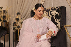Dressline Semi Stitched 3 Pc Emb Luxury Organza Clutches Collection