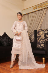 Dressline Semi Stitched 3 Pc Emb Luxury Organza Clutches Collection