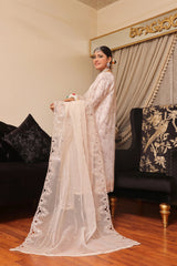 Dressline Semi Stitched 3 Pc Emb Luxury Organza Clutches Collection