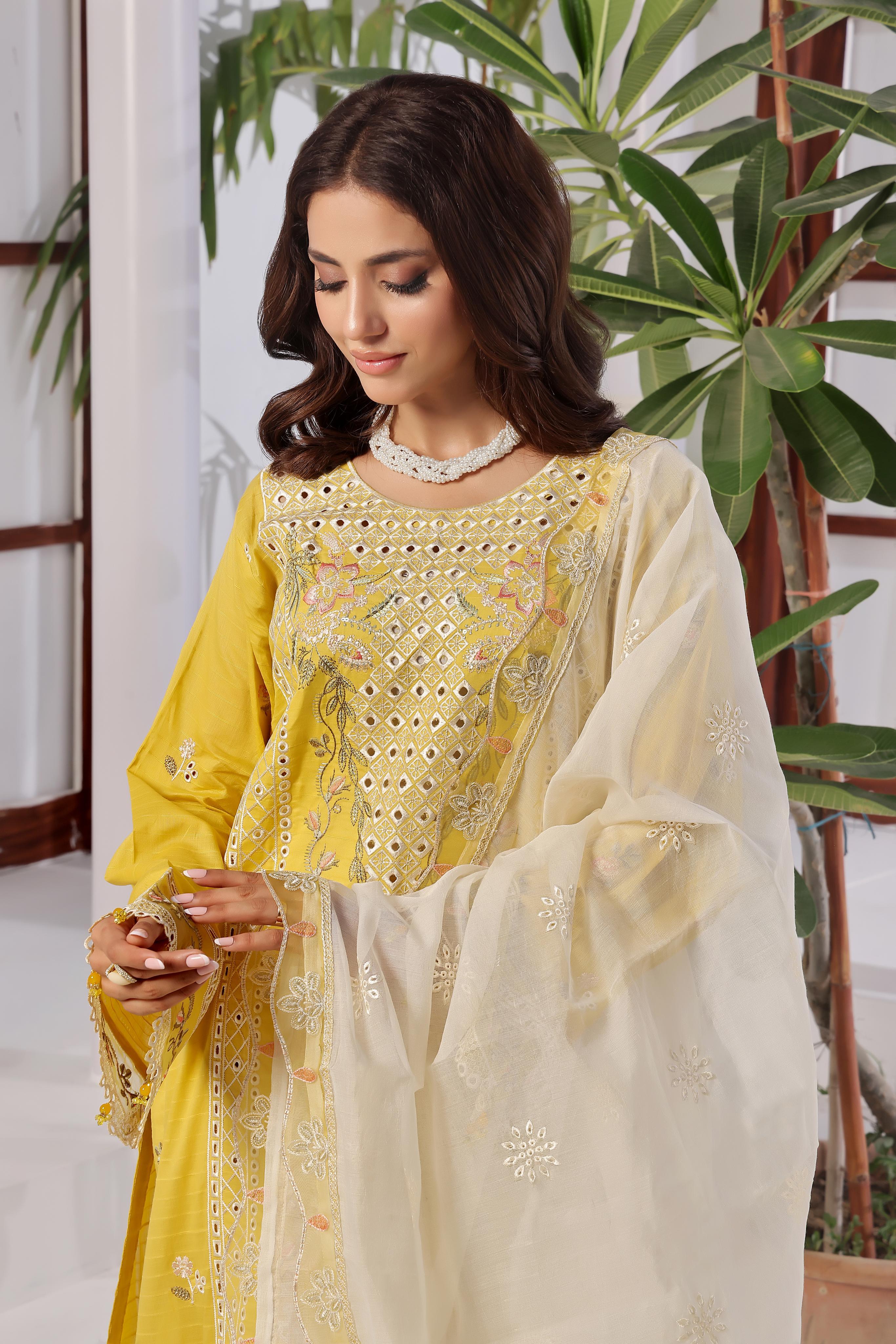 Dressline New Un Stitched 3 Pcs Premium Emb Chikankari Doriya Lawn Collection