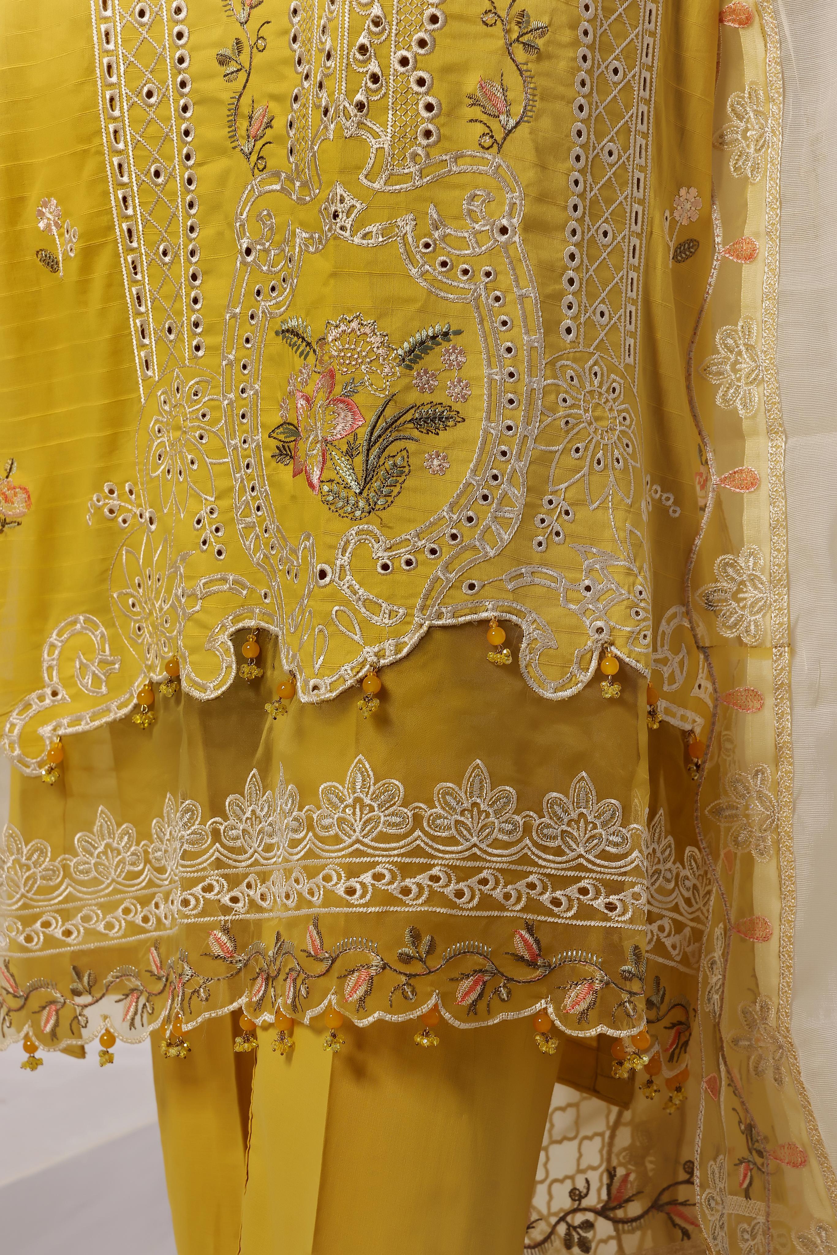 Dressline New Un Stitched 3 Pcs Premium Emb Chikankari Doriya Lawn Collection