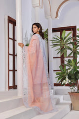 Dressline New Un Stitched 3 Pcs Premium Emb Chikankari Doriya Lawn Collection