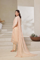 Dressline Zeva Festive Elegance Redefined Stitched 3 Piece Hand-Emb Chiffon