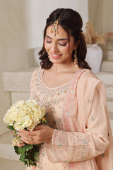 Dressline Zeva Festive Elegance Redefined Stitched 3 Piece Hand-Emb Chiffon