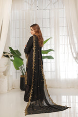 Dressline Lunching New 3 Piece Semi Stitched Luxury Emb ChikankariWith Boring Work Chiffon Collection