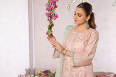 Dressline New Semi Stitched  3 Pcs Premium Emb ChikankariJacquard Lawn Collection