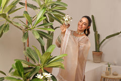 Dressline New Semi Stitched 3 Pcs Emb Viscose Zari Collection
